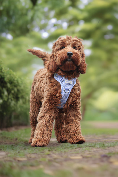 Wildflower Whispers Wild Edition Harness