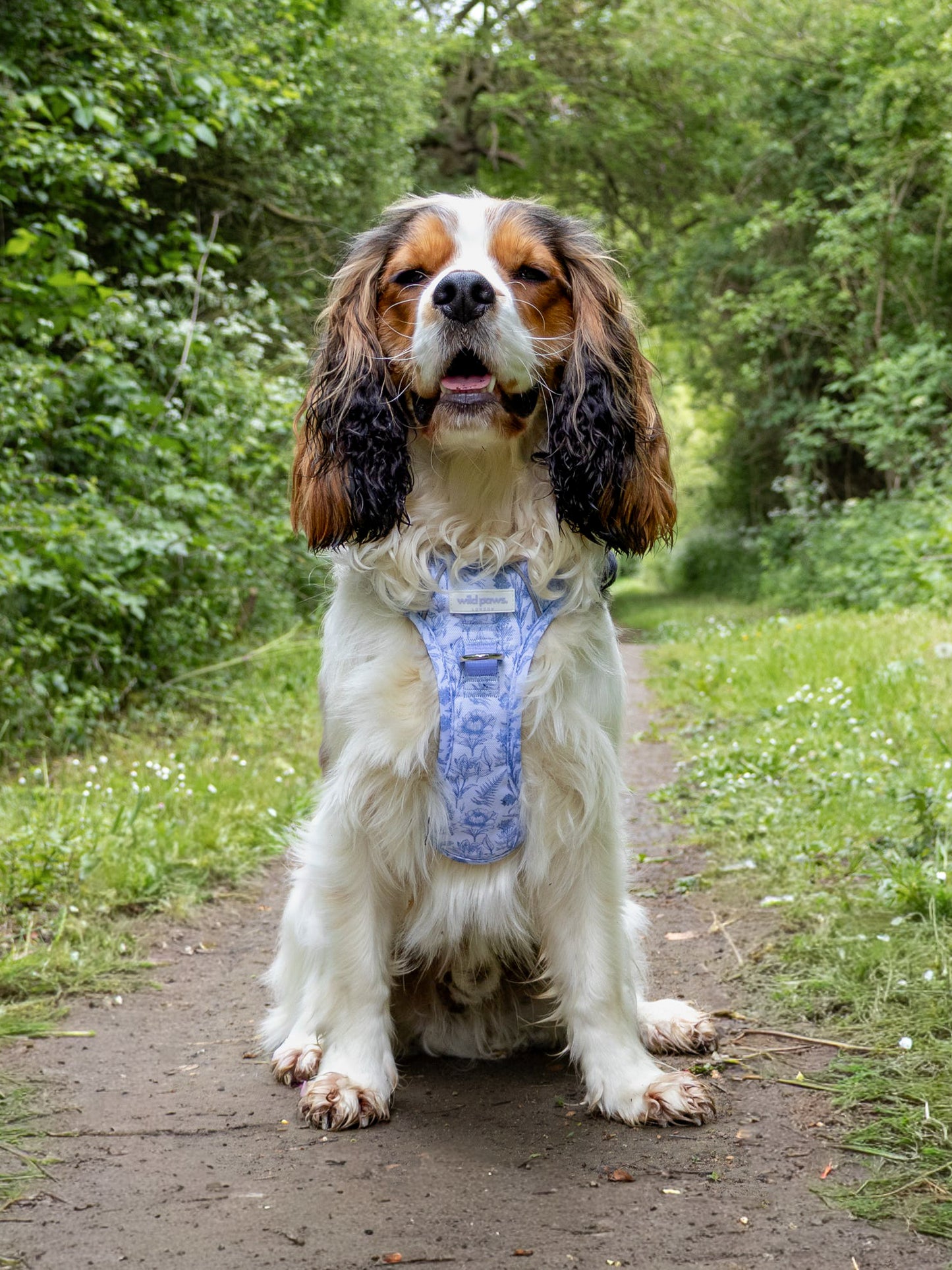 Wildflower Whispers Wild Edition Harness