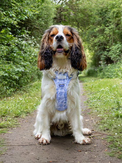 Wildflower Whispers Wild Edition Harness