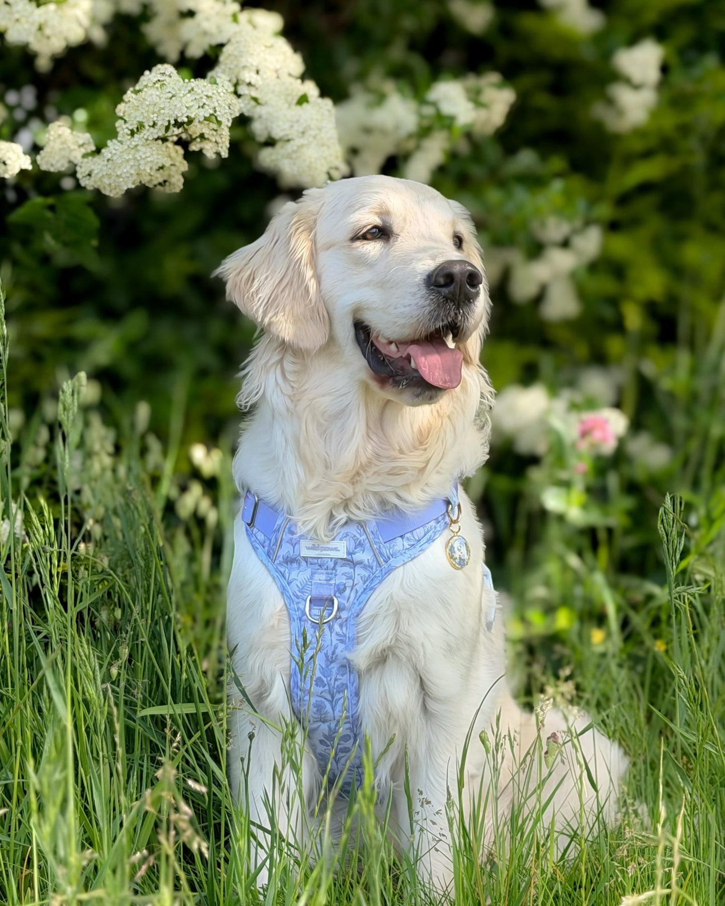 Wildflower Whispers Wild Edition Harness