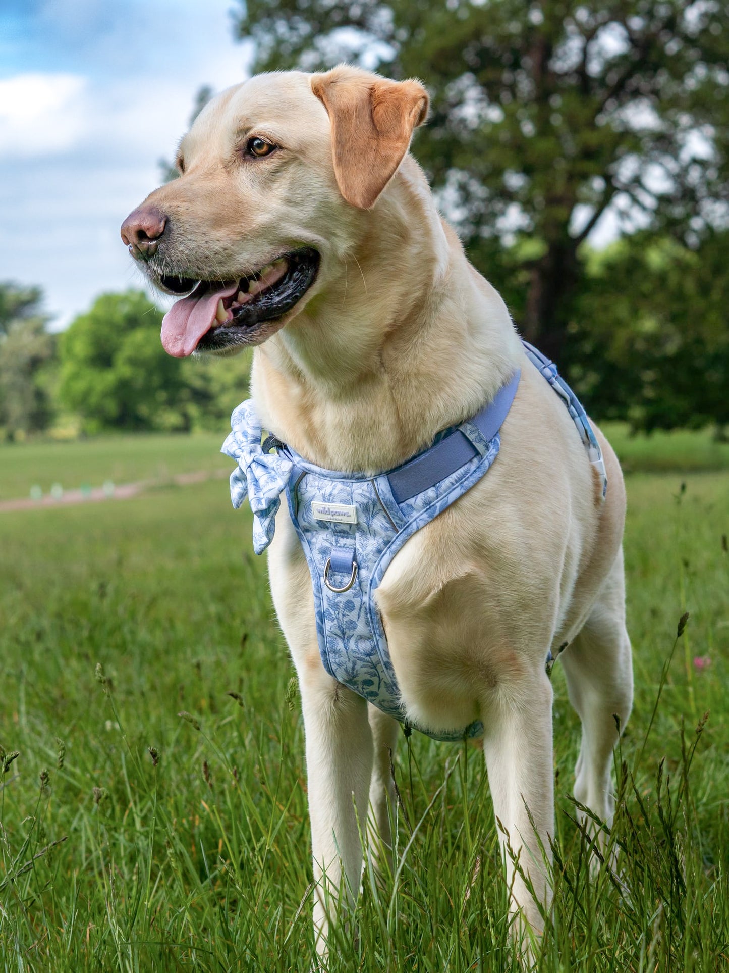 Wildflower Whispers Wild Edition Harness
