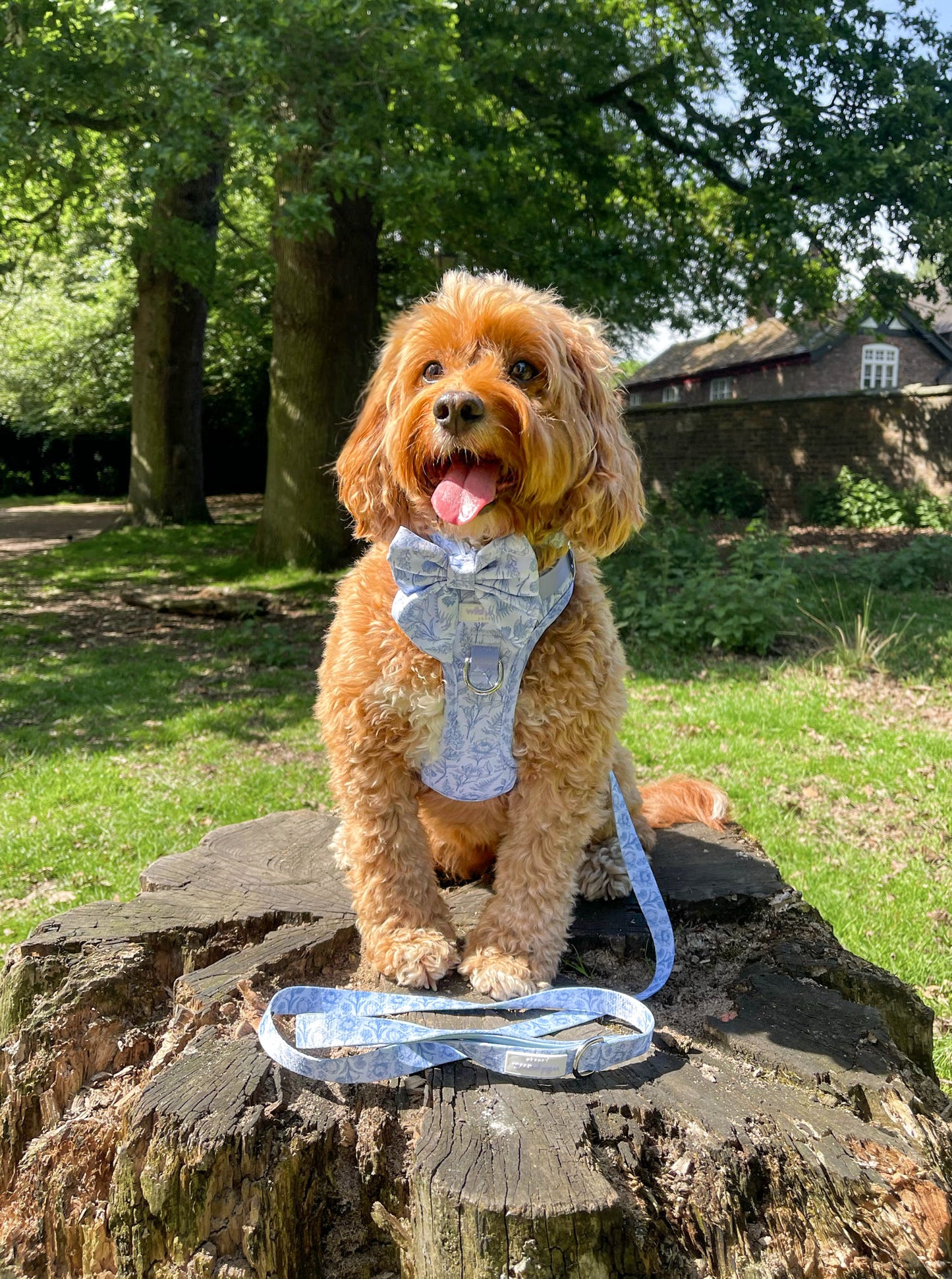 Wildflower Whispers Wild Edition Harness