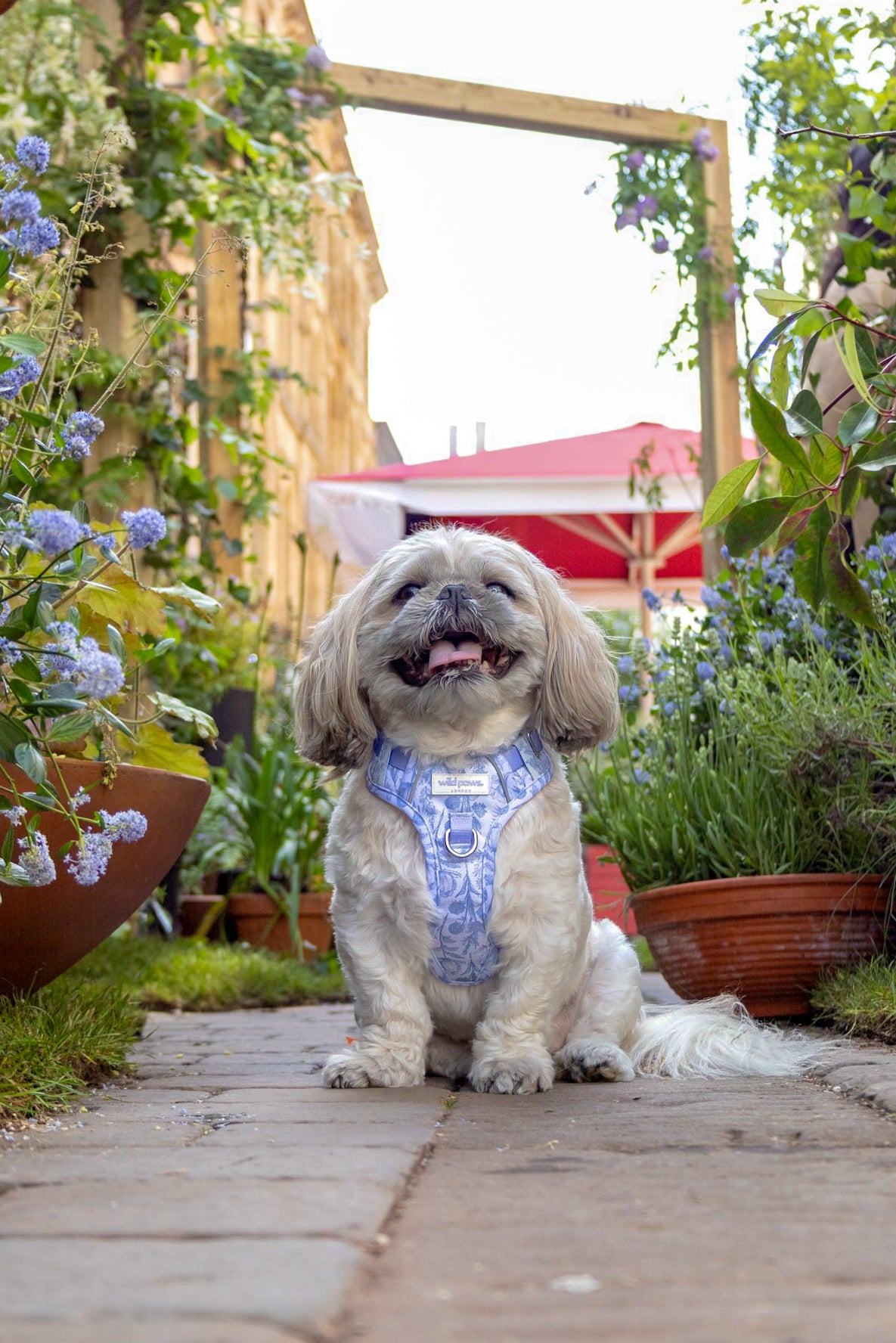 Wildflower Whispers Wild Edition Harness