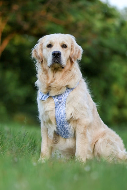 Wildflower Whispers Wild Edition Harness
