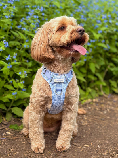 Wildflower Whispers Wild Edition Harness