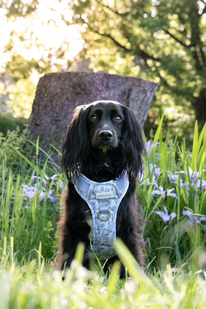 Wildflower Whispers Wild Edition Harness