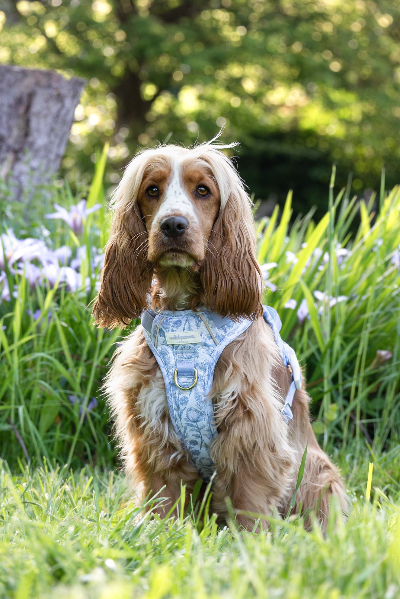 Wildflower Whispers Wild Edition Harness