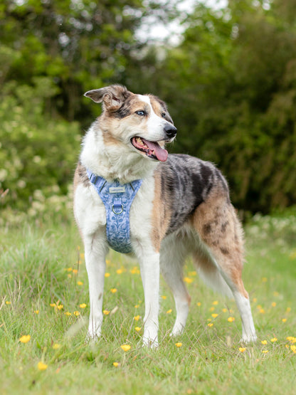 Wildflower Whispers Wild Edition Harness