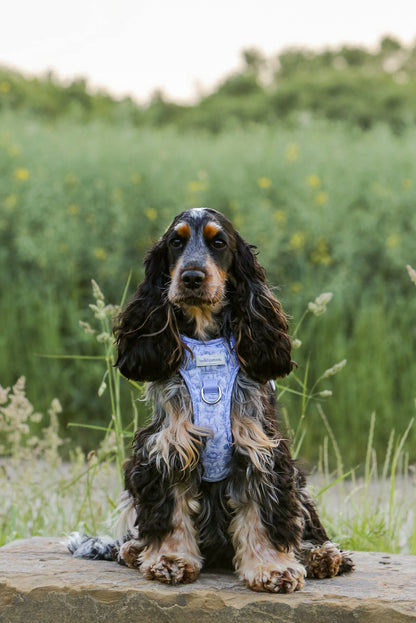 Wildflower Whispers Wild Edition Harness