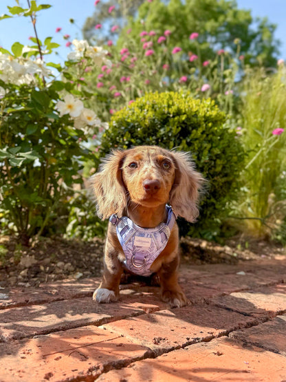 Wildflower Whispers Wild Edition Harness