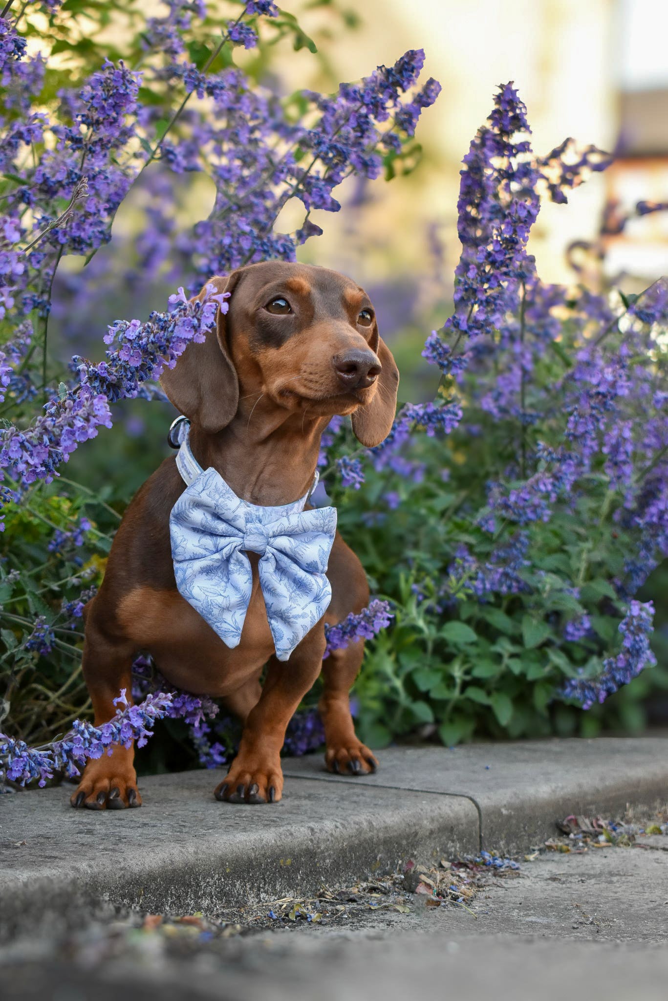 Wildflower Whispers Sailor Bow