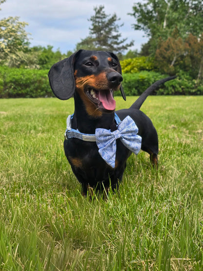 Wildflower Whispers Adjustable Collar