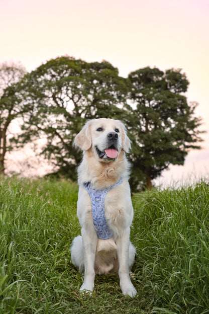 Wildflower Whispers Wild Edition Harness