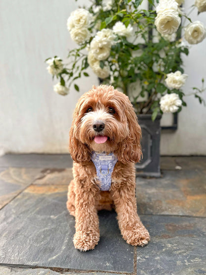 Wildflower Whispers Wild Edition Harness