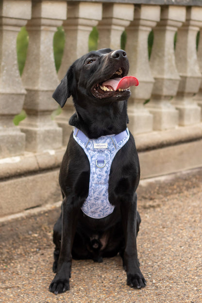 Wildflower Whispers Wild Edition Harness