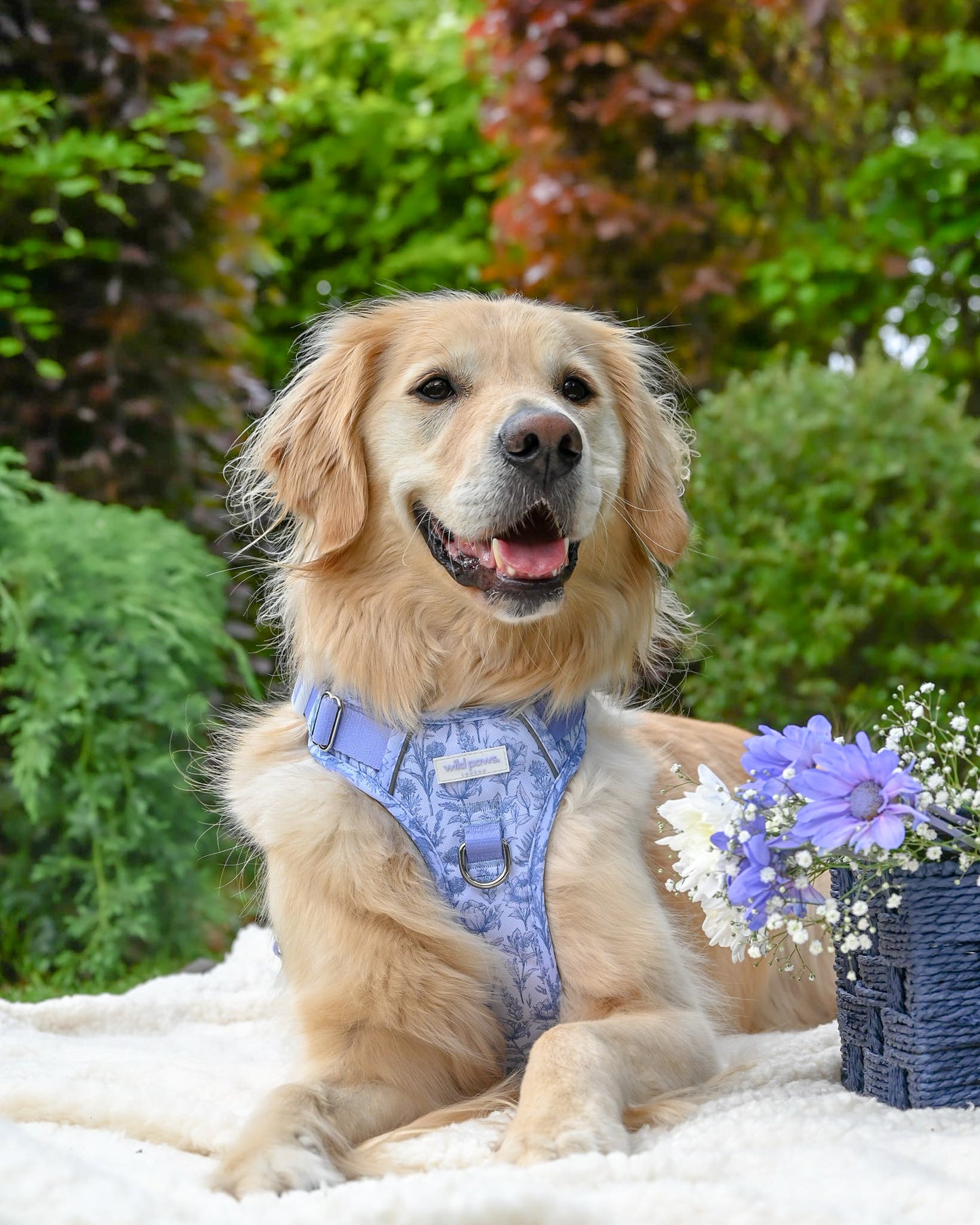 Wildflower Whispers Wild Edition Harness
