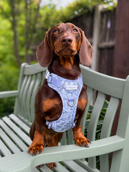 Wildflower Whispers Wild Edition Harness