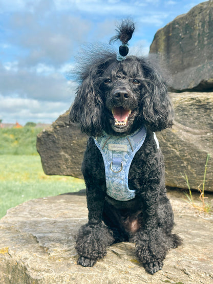 Wildflower Whispers Wild Edition Harness