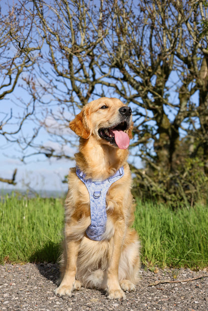 Wildflower Whispers Wild Edition Harness