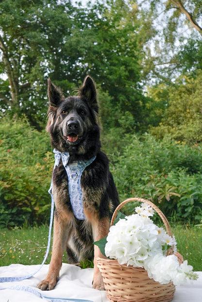 Wildflower Whispers Wild Edition Harness