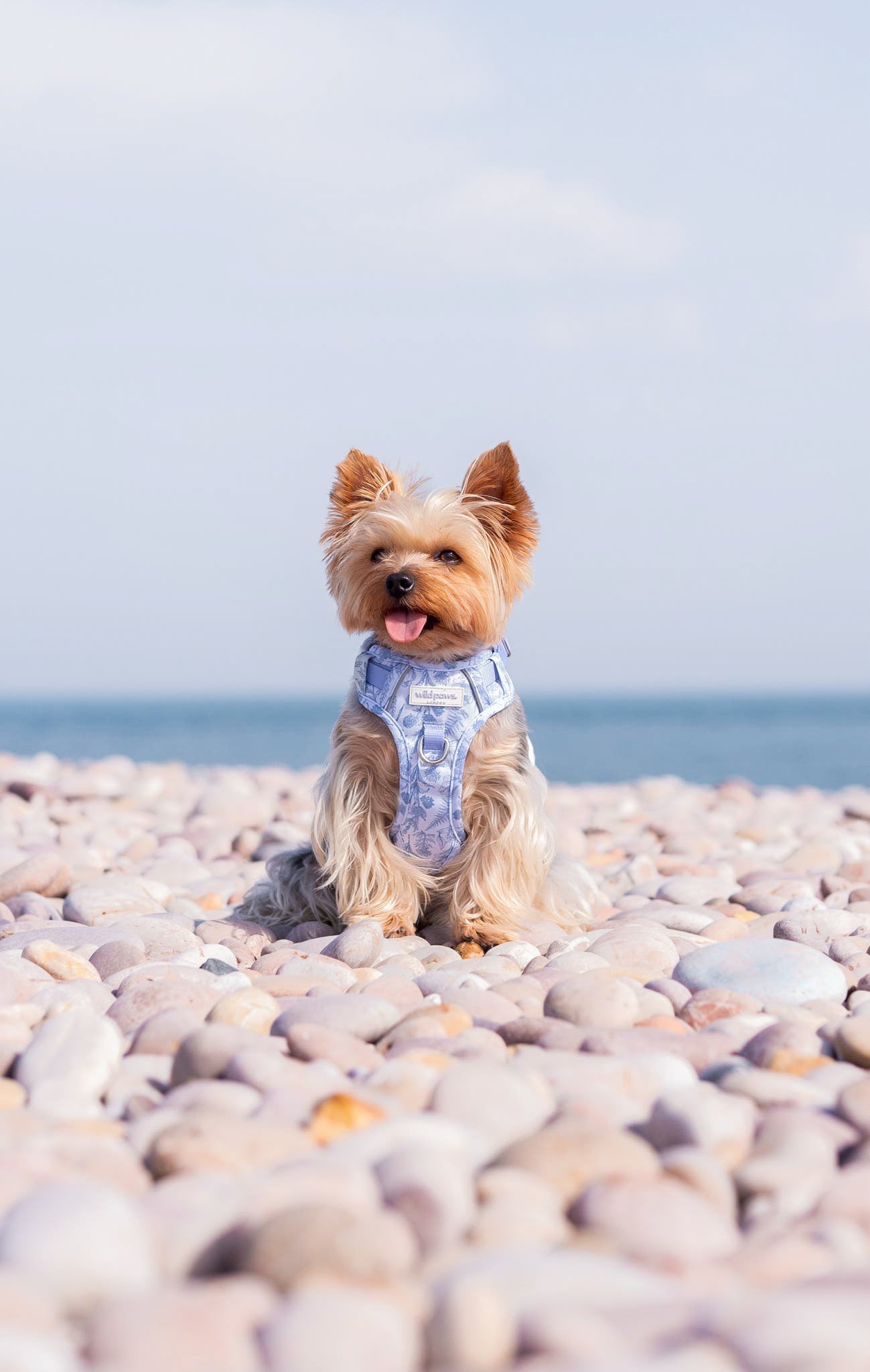 Wildflower Whispers Wild Edition Harness