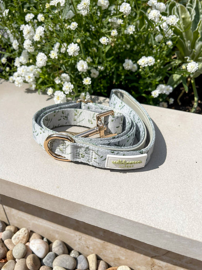 Olive Orchard Adjustable Lead (3-5ft)