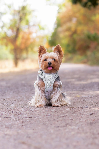 Olive Orchard Wild Edition Harness