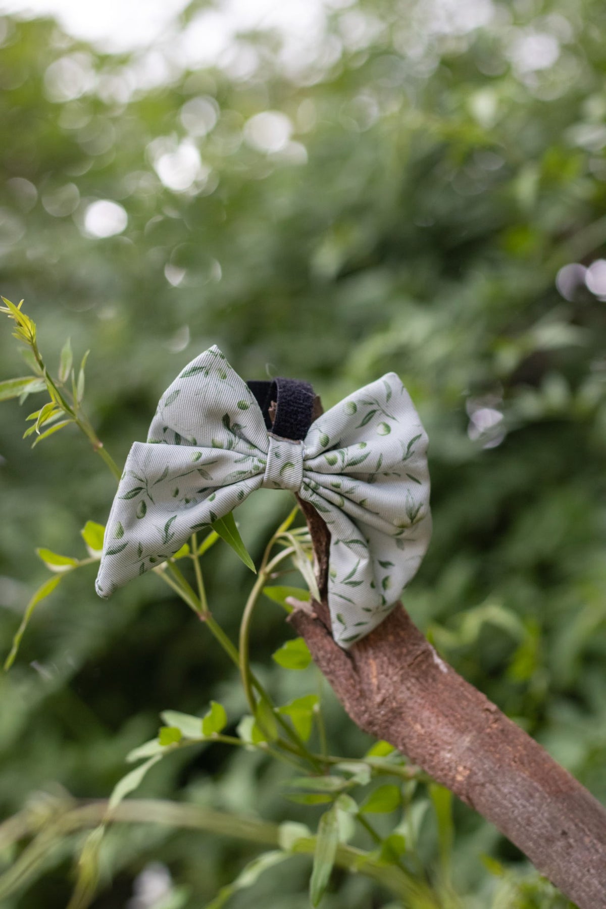 Olive Orchard Sailor Bow