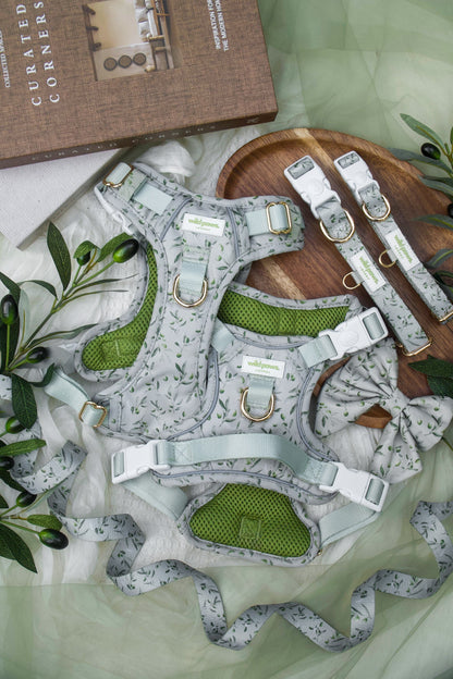 Olive Orchard Adjustable Collar