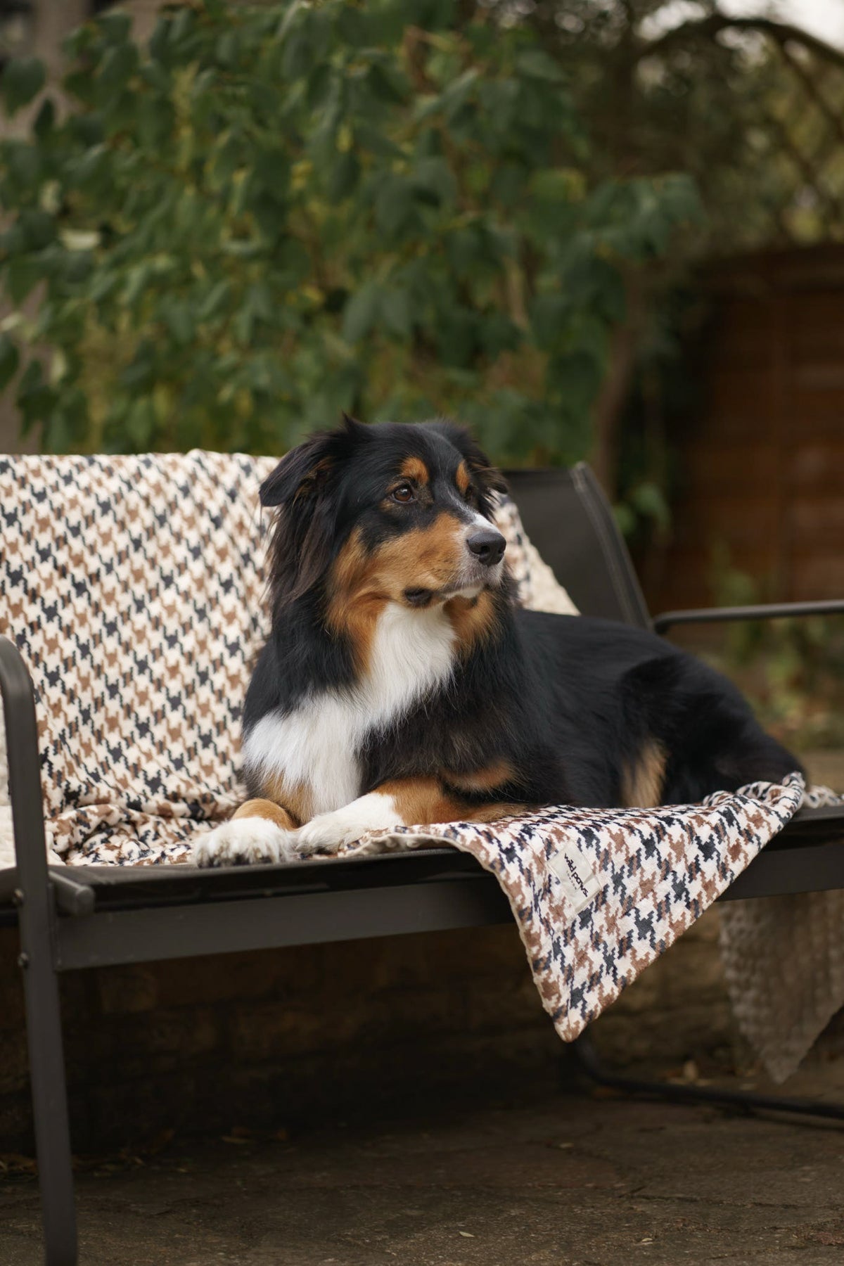 Acorn Acres Blanket - Cosy Size