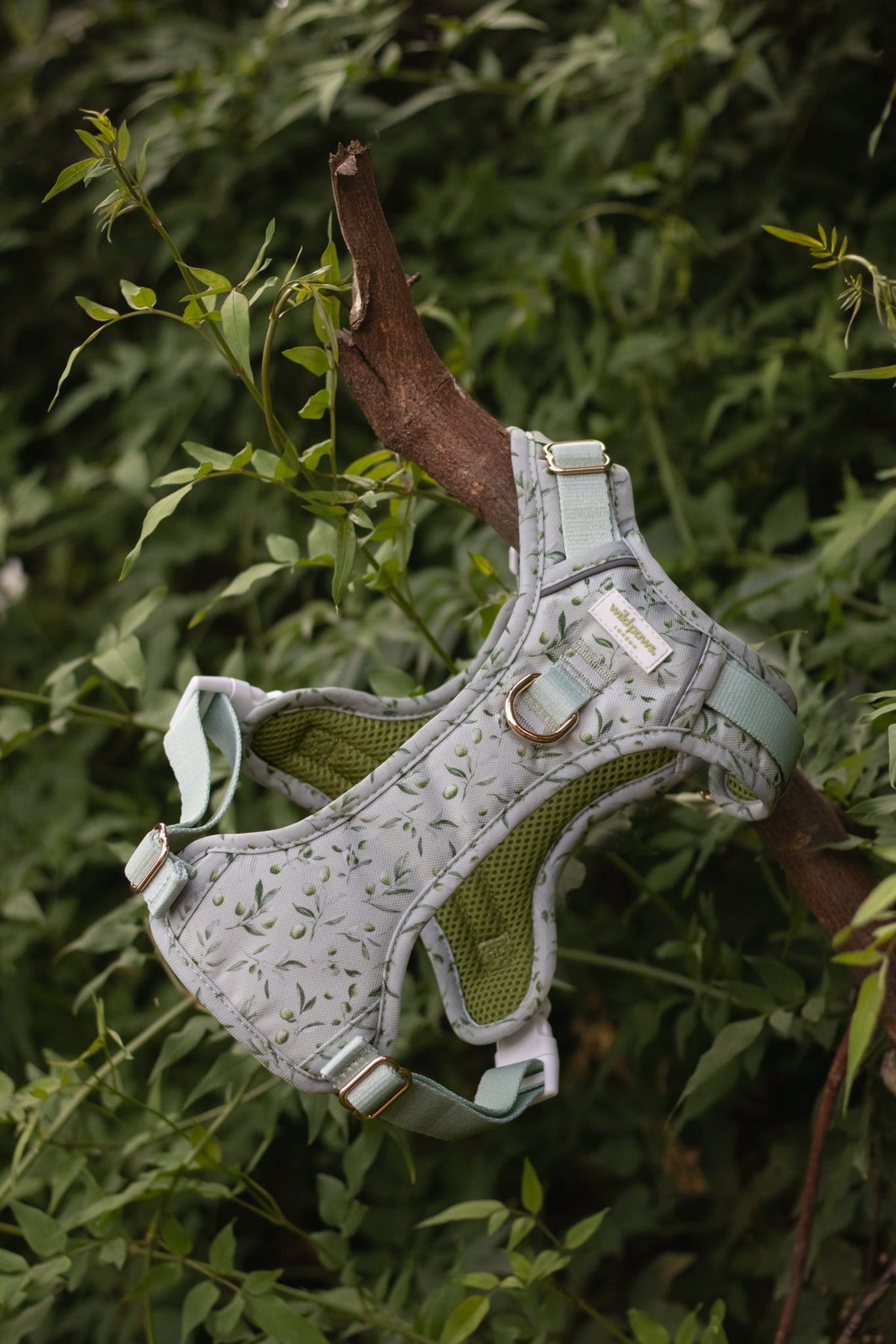 Olive Orchard Wild Edition Harness