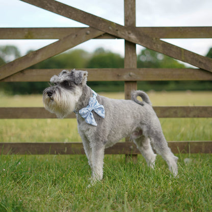Wildflower Whispers Adjustable Collar