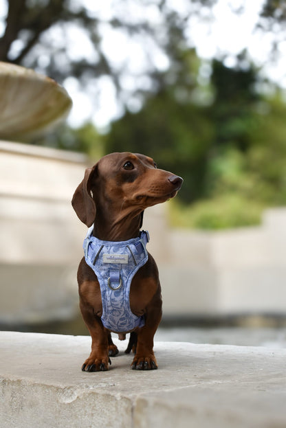 SECONDS - Wildflower Whispers Wild Edition Harness (read description)