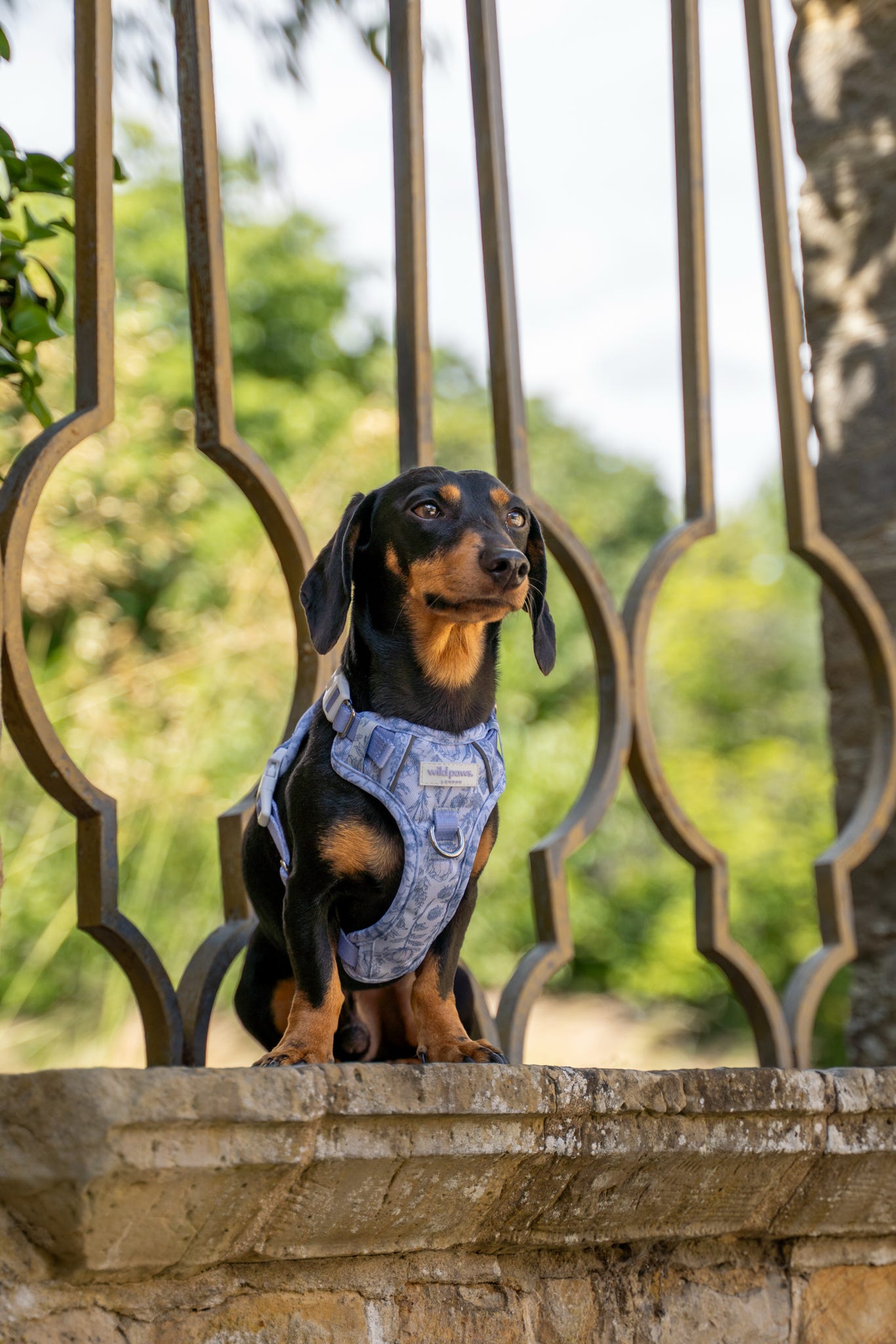 SECONDS - Wildflower Whispers Wild Edition Harness (read description)