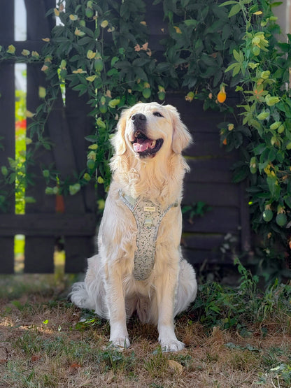 Olive Orchard Wild Edition Harness