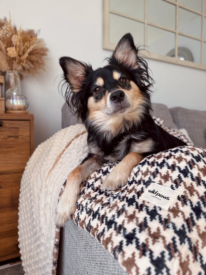 Acorn Acres Blanket - Cosy Size