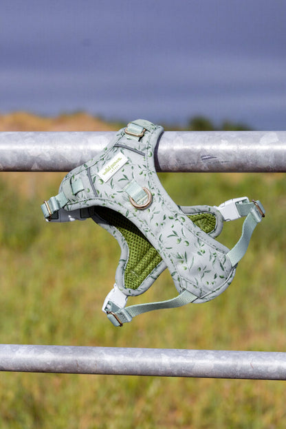 Olive Orchard Wild Edition Harness