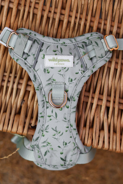 Olive Orchard Wild Edition Harness