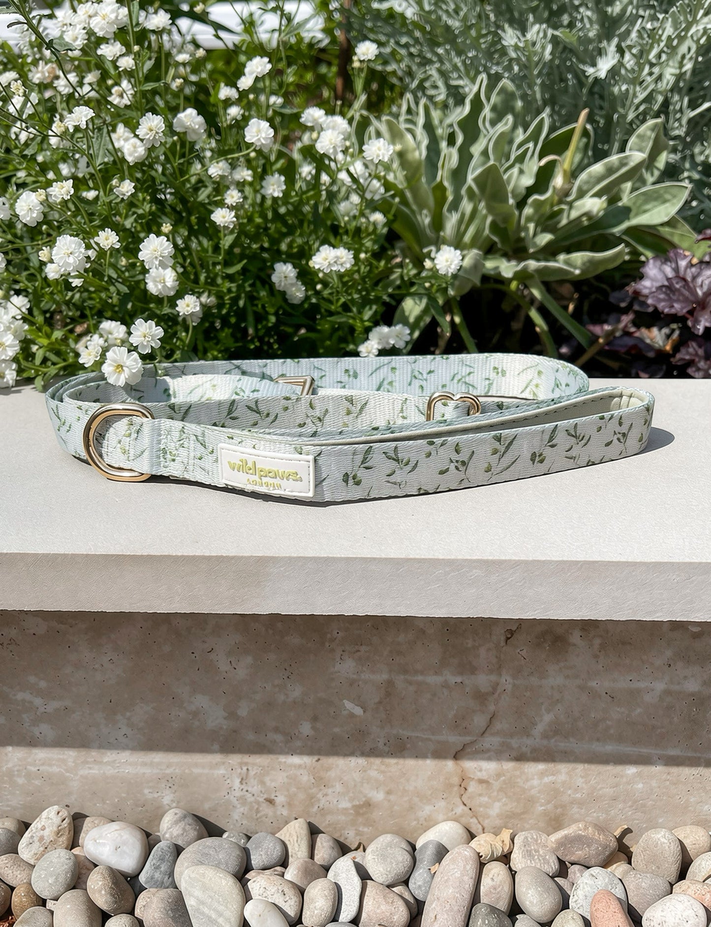 Olive Orchard Adjustable Lead (3-5ft)