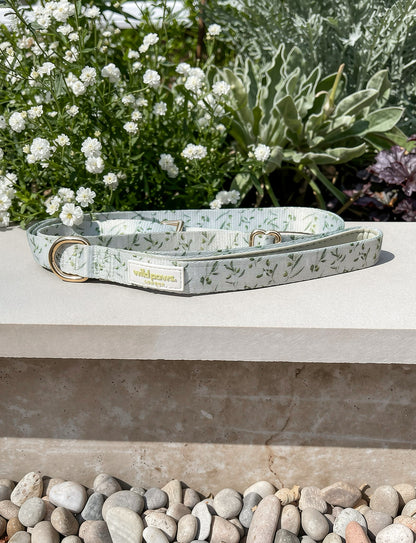 Olive Orchard Adjustable Lead (3-5ft)