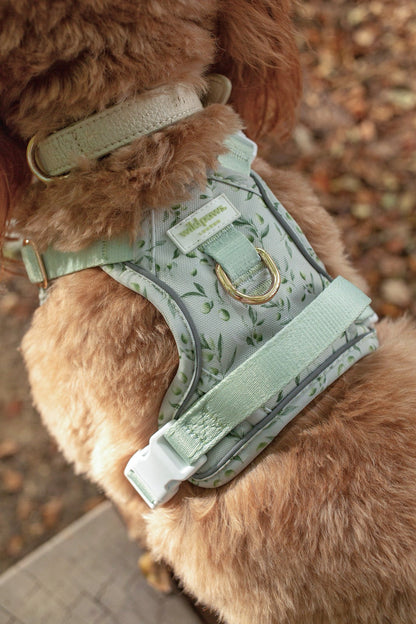 Olive Orchard Wild Edition Harness