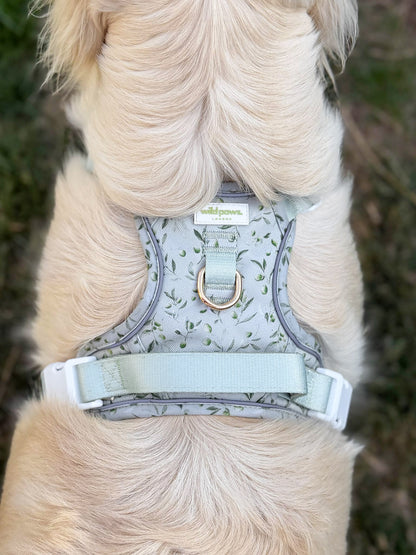 Olive Orchard Wild Edition Harness
