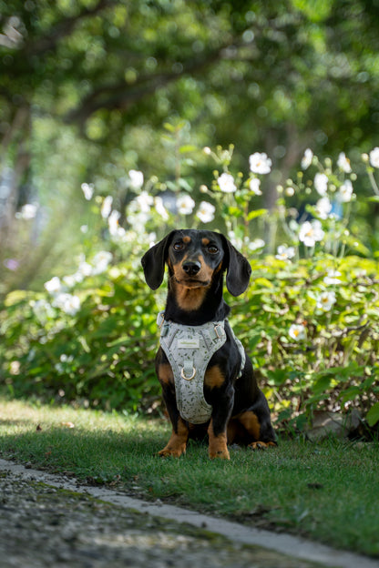 Olive Orchard Wild Edition Harness