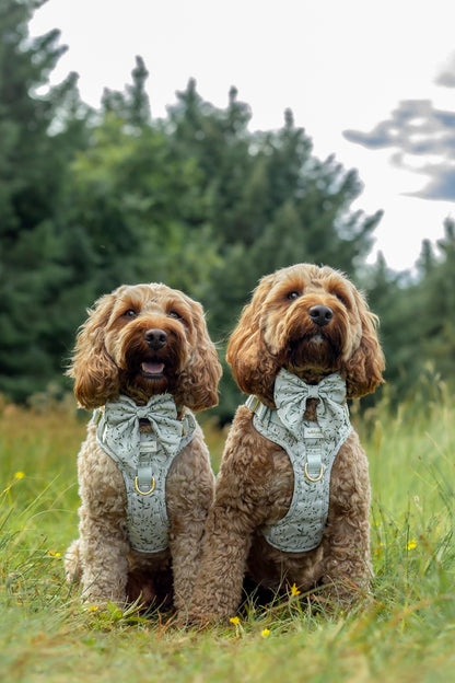 Olive Orchard Wild Edition Harness