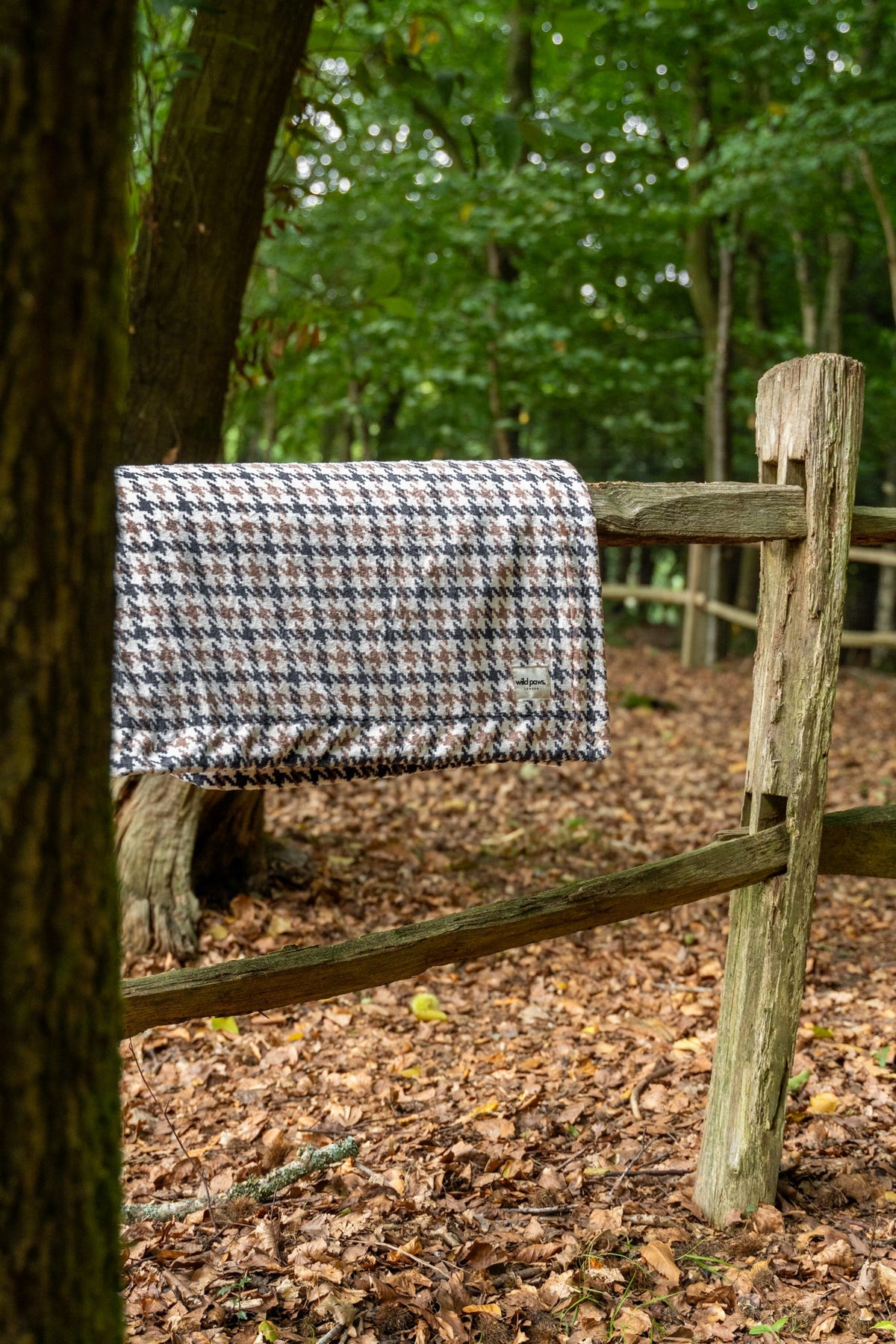 Acorn Acres Blanket - Cosy Size