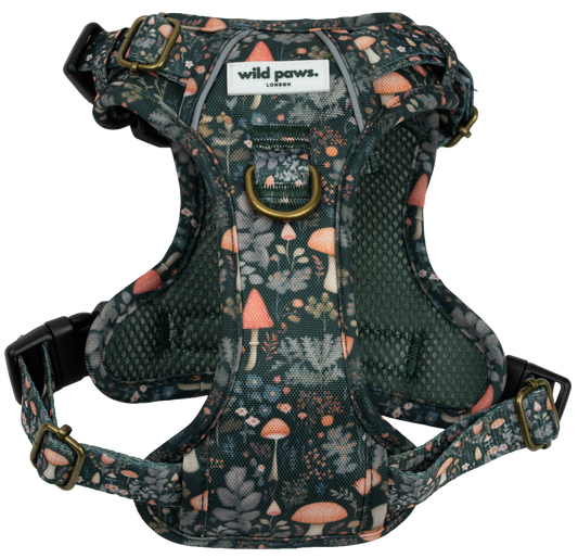 Fairytale Forest Wild Edition Harness
