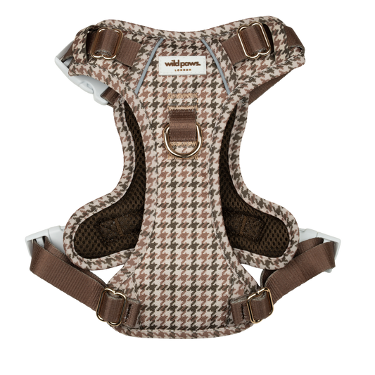Acorn Acres Wild Edition Harness