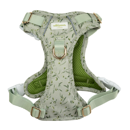 Olive Orchard Wild Edition Harness