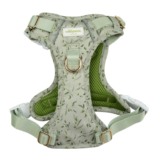 Olive Orchard Wild Edition Harness