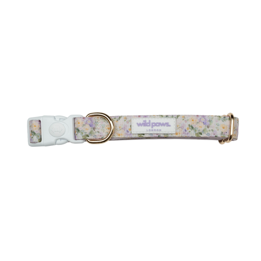 Vintage Violets Adjustable Collar